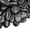 Black, variant on 38LBS Large White River Rocks 2-3 Inch - Natural Polished Pebbles for Landscaping, Garden Decor, Aquariums, Decorative Stones for Pathways, Planters