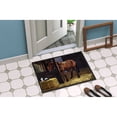 thumbnail image 4 of At The Gate Springer Spaniel Doormat 18x27, 4 of 4