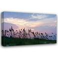 thumbnail image 1 of Alan Hausenflock 44x31 Gallery Wrapped Canvas Wall Art Titled - Sea Oats on Lavender I, 1 of 4
