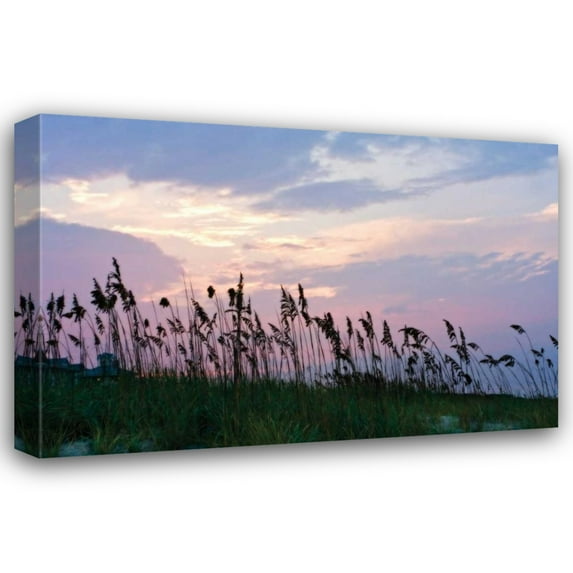 Alan Hausenflock 44x31 Gallery Wrapped Canvas Wall Art Titled - Sea Oats on Lavender I