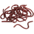 thumbnail image 4 of RUBBER WORMS, 4 of 4