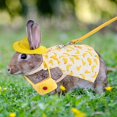 thumbnail image 4 of 2 Sets Cute Pet Rabbit Dress Small Animal Harness Vest and Leash with Mini Hat Bag Escape-Proof Pet Harness Dress Accessory for Rabbit Guinea Pig Hedgehog Ferret Piggy (Pink Rabbit, Yellow Banana), 4 of 7