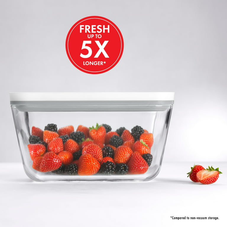 ZWILLING Fresh & Save 2-pc Glass Airtight Food Storage Container, Meal Prep  Container - Large, 2-pc Glass Large - Kroger