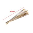 thumbnail image 4 of 70 piezas de decoración de hierba seca natural, hierba pomposa alta, arreglo de jarrón, decoración bohemia, florales, ramo Colco Hierba de pampa seca, 4 of 8