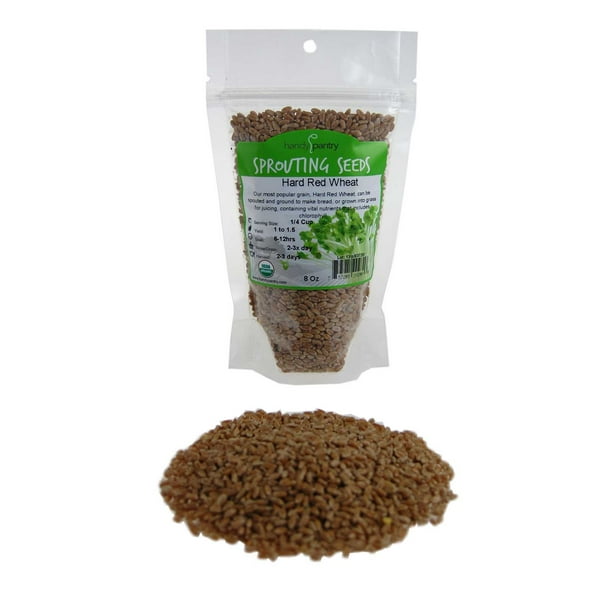 Organic Hard Red Wheat Seed 8 Oz Grow Wheatgrass, Ornamental Wheat
