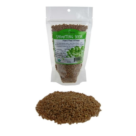 Organic Hard Red Wheat Seed: 8 Oz - Grow Wheatgrass, Ornamental Wheat Grass - Non-GMO, Sprouting Wheat Berries - High