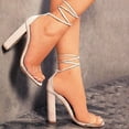 thumbnail image 1 of Women Ankle Strap Sandals Lace Up Open Toe Clear Thick High Heel Sandals, 1 of 3