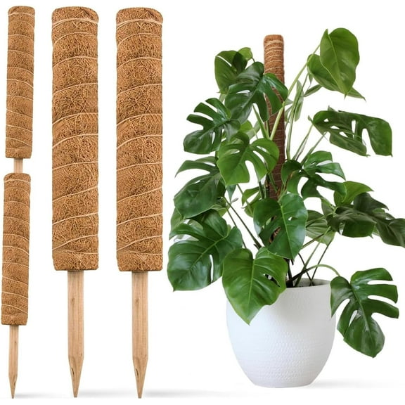 GIXUSIL 2 Pcs 15.8in Coir Moss Poles for Climbing Plants - Coir Moss Totem Stick for Creepers Plant Support Extension, Climbing Indoor Plants(Total 27 inch)