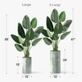 thumbnail image 2 of Artificial Tree in Modern Planter, Fake Bird of Paradise Silk Tree for Indoor and Outdoor Home Decoration - 67" Overall Tall (Plant Pot Plus Tree), 2 of 5