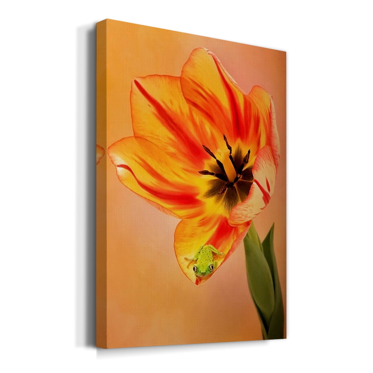 Hanging On VI Premium Gallery Wrapped Canvas - Ready to Hang