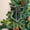 Green#948, variant on cpengpj Christmas Bow Holiday Decor, Durable Polyester Festive Bow with Santa Claus Snowflake Design for Xmas Tree Door Wall, Elastic Fixing and No Tools Needed (Solid Color/Full Print)
