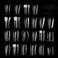 thumbnail image 7 of 288 Pcs Nails Molds Nails Forms Full Covers Nails Forms Set Nails Extension Molds for Woman, 7 of 7