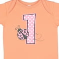 thumbnail image 4 of Inktastic Pink Ladybug 1st Birthday Girls Baby Bodysuit, 4 of 5