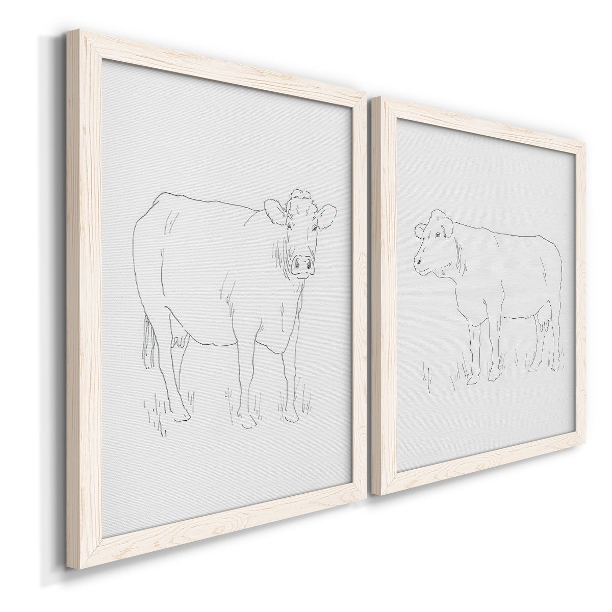 Limousin Cattle III - Premium Framed Canvas 2 Piece Set - Ready to Hang
