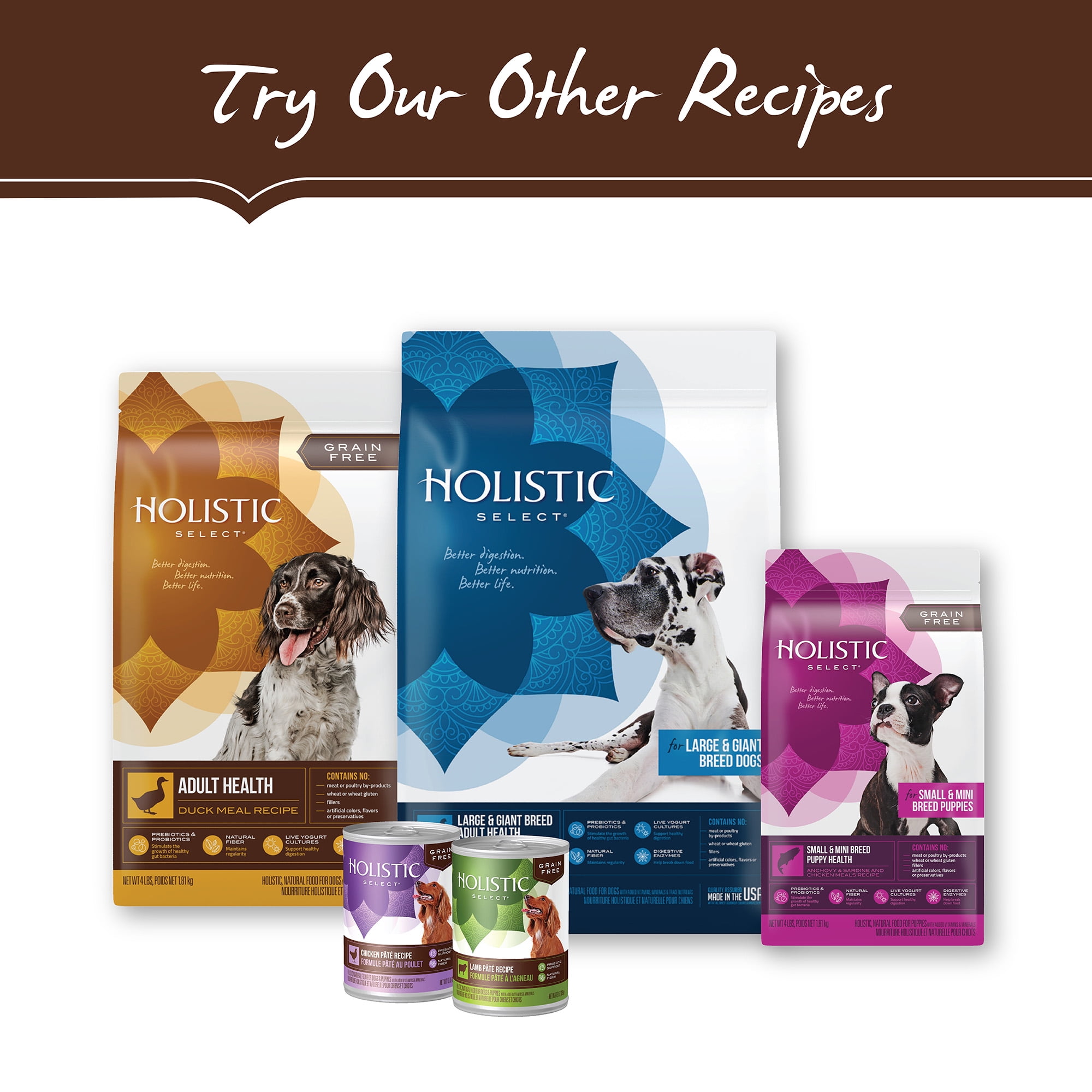 holistic select grain free salmon anchovy and sardine dog food