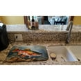thumbnail image 2 of Carolines Treasures DAC2775DDM 21 x 14 in. Brook Trout Dish Drying Mat, 2 of 7