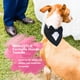 thumbnail image 3 of Pañuelos para la cabeza para perros, pañuelo triangular para mascotas, pañuelo formal para perros para fiestas de bodas, corbata ajustable, pajarita para traje de mascota, bandana para disfraces de, 3 of 6