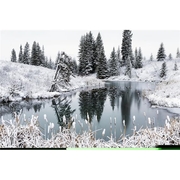 Posterazzi DPI12300801LARGE An Open Pond in The Winter with Snow Covered Hilly Banks Evergreen Trees & Bulrushes - Calgary Alberta Canada Poster Print by Michael Interisano, 38 x 24 - Large
