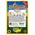 thumbnail image 2 of Everwilde Farms - 40 Prairie Coreopsis Native Wildflower Seeds - Gold Vault Seed Packet, 2 of 4