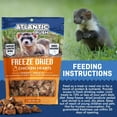 thumbnail image 6 of Freeze Dried Ferret Treats - Resealable Bag of Treats for Small Pets- Ferret Snacks - Single Ingredient Ferret Food With No Preservatives Or Fillers- Small Animals Treats (1oz, chicken Heart), 6 of 6