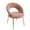 Pink, Teddy, variant on Hassch Teddy Fabric Upholstered Dining Chair with Cushioned Seat and Golden Metal Legs, Indoor Kitchen and Dining Room Chair in Pink, 250LBS Weight Capacity