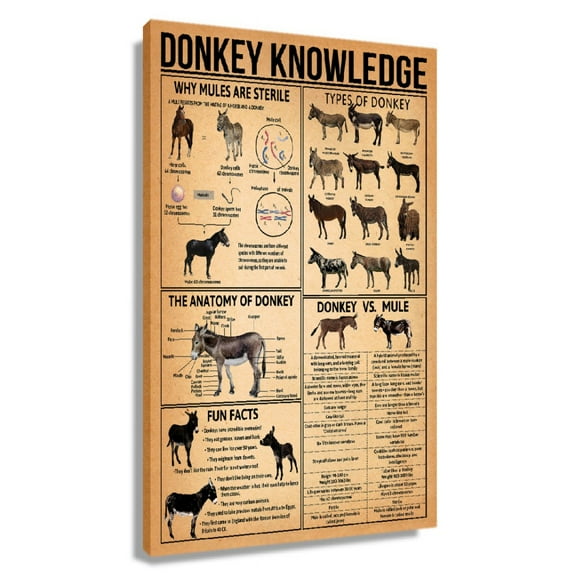 Donkey Wall Art Knowledge Poster Canvas Wall Art For Bedroom Wall Artwork For Office Framed 20x30 in