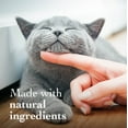 thumbnail image 6 of Richard's Organics Hairball Remedy for Cats, Tuna Flavor, 4.25 oz., 6 of 7