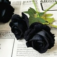 thumbnail image 6 of Ukeler 12 Pcs Artificial Rose Flowers Black Blossom Rose Flowers Real Touch Silk Faux Roses with Long Stem Rose Bouquets for DIY Home Decoration Wedding Party Centerpieces Arrangement, 6 of 7