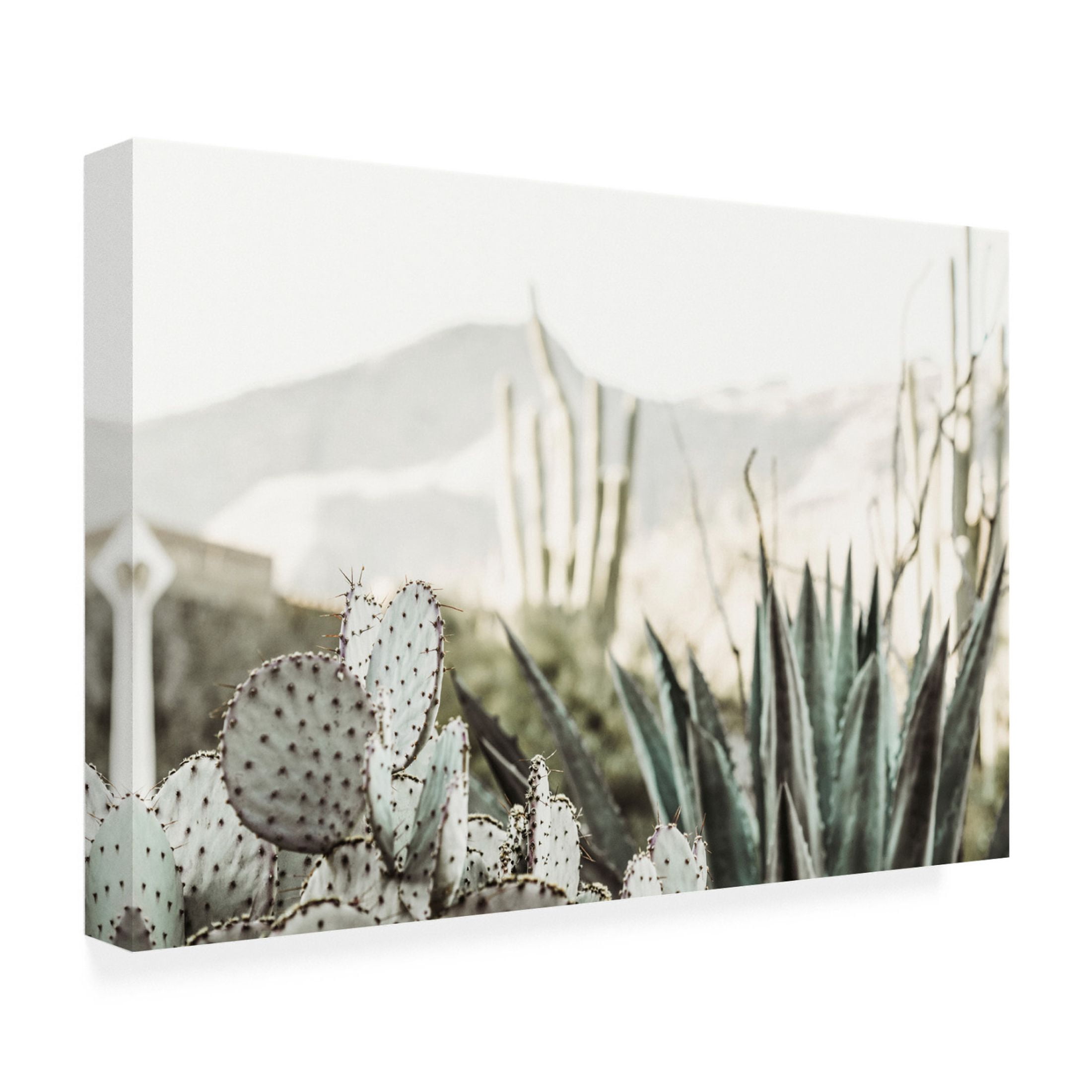 Canvas Wall Art - Krista Broadway 'Leon' Wall Art for Living Room, Bedroom, or Office Décor by Trademark Fine Art - 32 x 22 Inches
