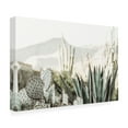 thumbnail image 4 of Canvas Wall Art - Krista Broadway 'Leon' Wall Art for Living Room, Bedroom, or Office Décor by Trademark Fine Art - 24 x 16 Inches, 4 of 4