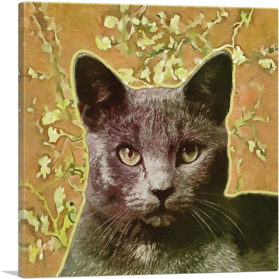 ARTCANVAS Korat Cat Breed Orange Canvas Art Print - Size: 36" x 36" (0.75" Deep)