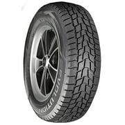Cooper Evolution Winter Winter 205/55R16 94H XL Passenger Tire