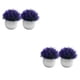 thumbnail image 3 of Bewildely 2 uds de plantas de simulación en maceta de plástico que añaden belleza y estilo a cualquier entorno pastos falsos para decoración púrpura 2Conjunto, 3 of 6