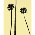 thumbnail image 2 of Asla, Erik 12x14 Black Ornate Wood Framed with Double Matting Museum Art Print Titled - Palm Trees 2000 (Yellow), 2 of 4
