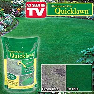 Gardener's Choice Quicklawn Lawn Seed- 1 Lb Bag (500 Sq.