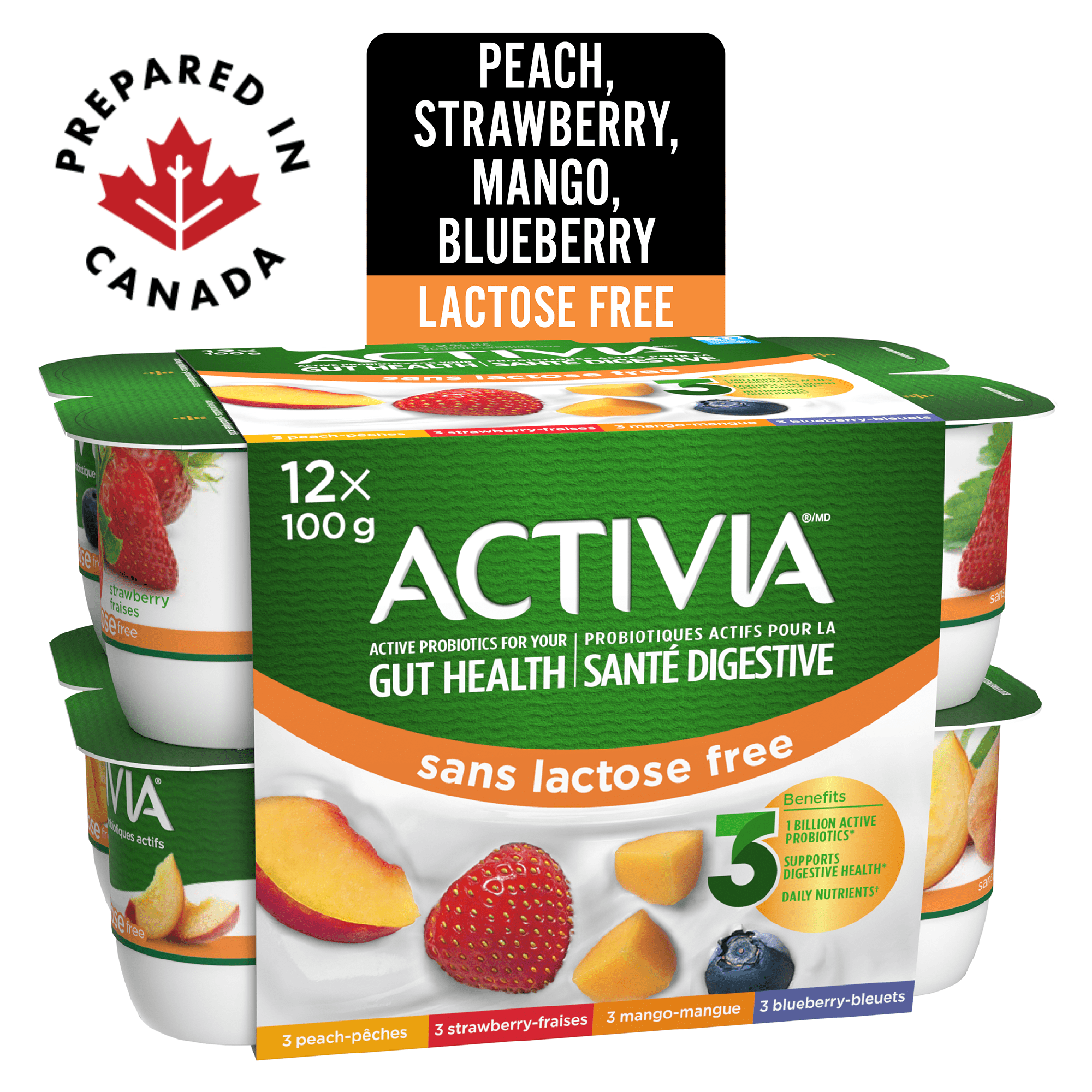 Activia Probiotic Yogurt, Lactose Free, Strawberry/Blueberry/Peach/Mango, 12 x 100 g