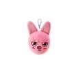 thumbnail image 3 of Llavero de juguetes de peluche de Skzoo, accesorios colgantes de 16cm, muñecas de peluche de Stray Kids, animales de peluche de dibujos animados Kawaii, regalo para fanáticos, 3 of 5