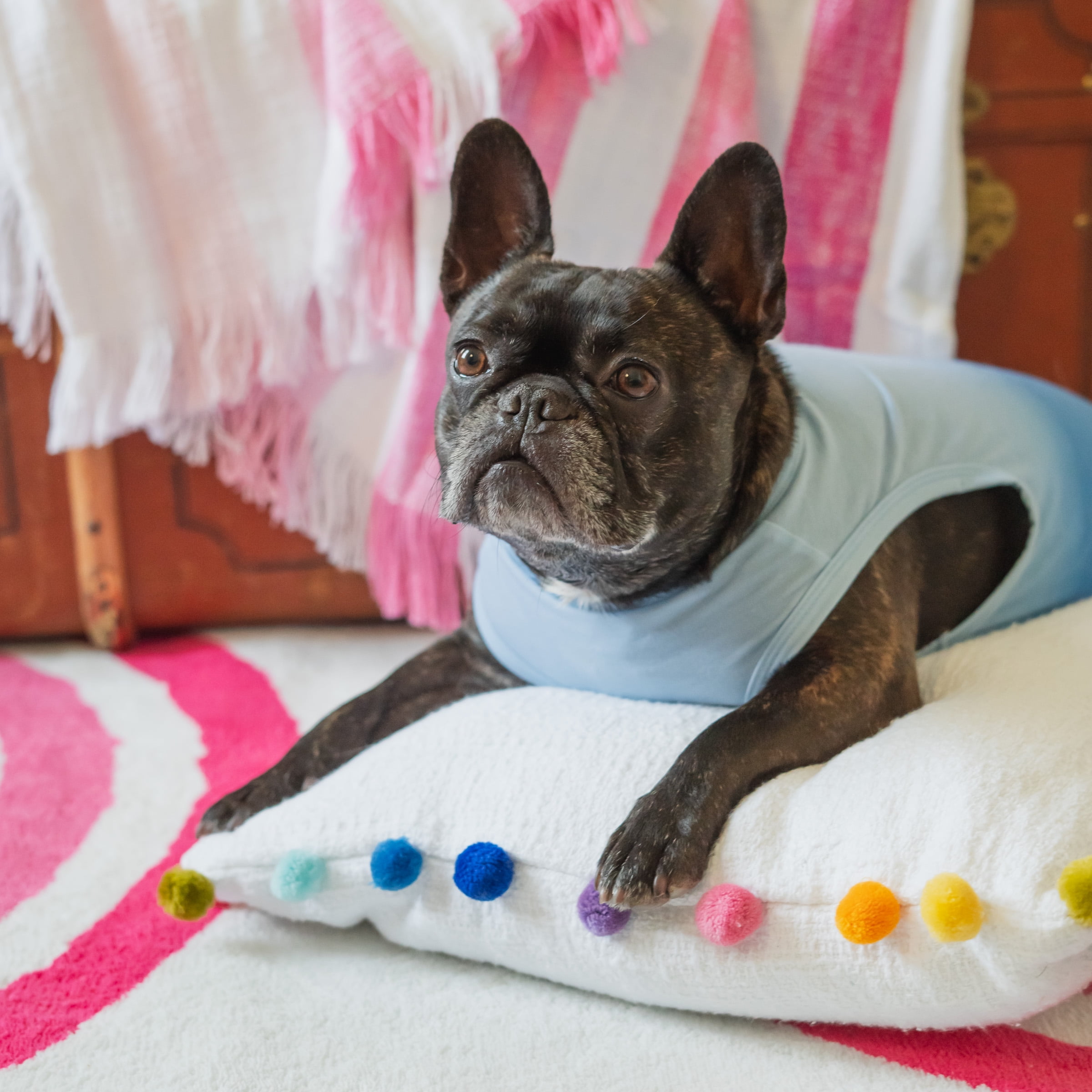 French bulldog t shirt gap online