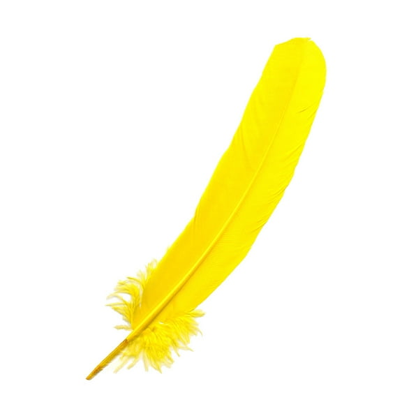 Zucker Feather Products Parried Turkey Quills Selected - 10-12" - 12 pcs - Yellow