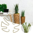 thumbnail image 5 of Monstera Plant Support - Durable Monstera Stabilizer Grapple Holder, Stable Plant Support Stakes, Turtle Shell Bamboo Clamp Set, Ideal Plant Support for Thriving Growth, 5 of 6