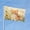 Cat, variant on Funny Sunflower Highland Cow Garden Flags for Outside 3x5 Ft Double Sided Large House Flag Cute Highland Cows Flags Housewarming Gifts for Women Men Cow Lovers House Yard Outdoor Patio Decor