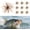 2.7"-10PCS Shiny Brown, variant on Urchin Fishing Bait, 2.7"/4.3" Floating Urchin Bait with Reflective Spots, Soft Tentacle Creature Lure for Sea, Slow Sinking