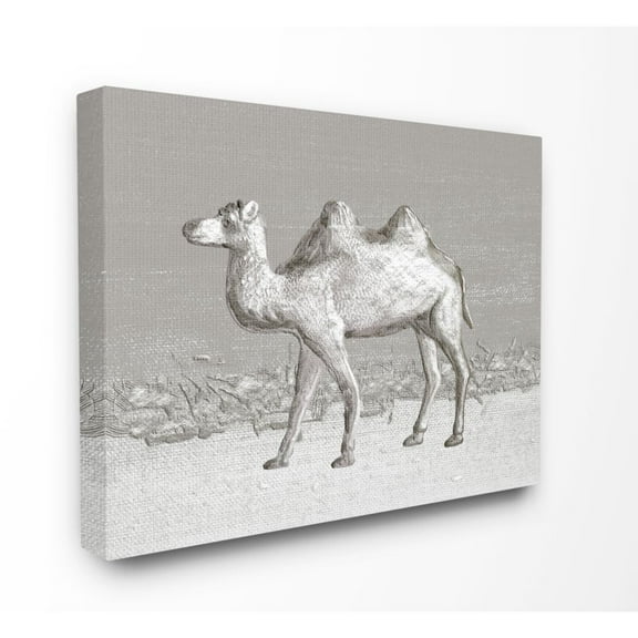 Desert Camel Animal Gray Design Stretched Canvas Wall Art by Ziwei Li