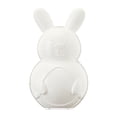 thumbnail image 3 of Plastic Bunny Container, White, 10.25", Easter by Way To Celebrate, 3 of 5