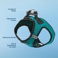 thumbnail image 3 of Malla Harness Best Pet Supplies para todo tipo de clima para perros y gatos pequeños y medianos, turquesa, 2 tonos S, 3 of 8