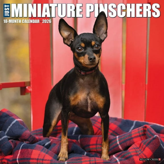 Willow Creek Press, Just Miniature Pinschers 2026 Wall Calendar, 12'' X 12'', 18-Month Calendar with Stapled Binding