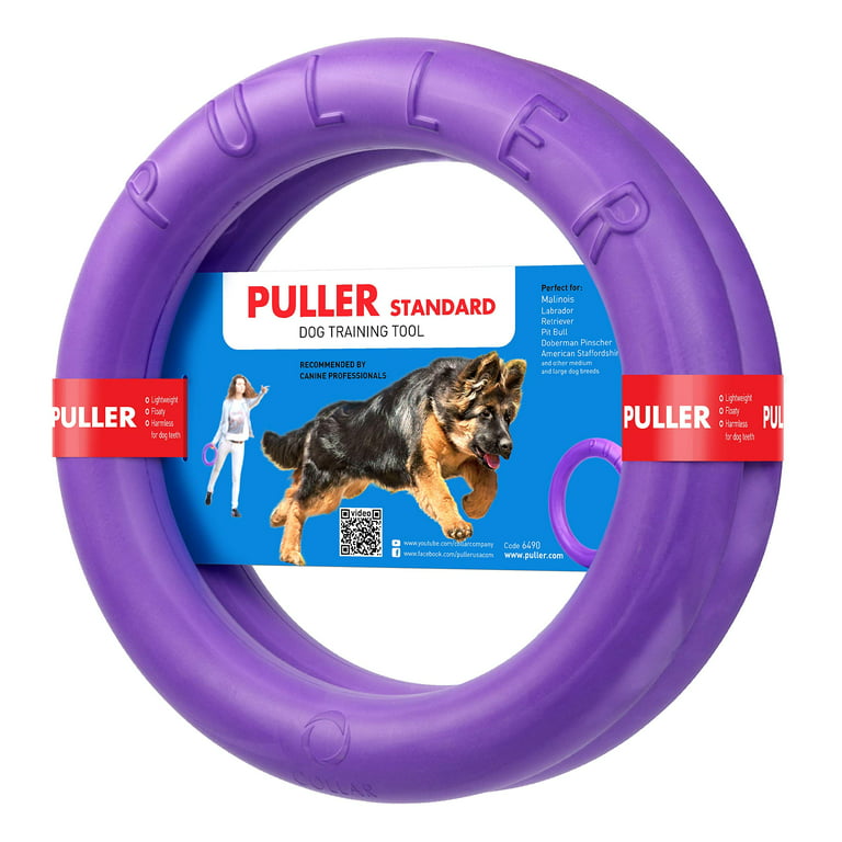 Outdoor Dog Toys For Large Dogs
