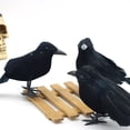 thumbnail image 4 of BNNG Halloween Black Feathered Crows, Realistic Feathered Black Birds Raven, Halloween Decoration for Indoor Outdoor Home Yard Garden Party Decor, 4 of 9