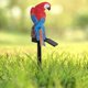 thumbnail image 1 of Luz Solar Al Aire Libre Luz solar LED 600mAh Bird Parrot Lámpara montada en el suelo para exteriores (Rojo) Sywqhk Para estrenar, 1 of 6