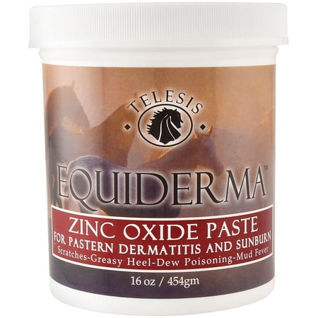 UPC: 0666183100076 | Equiderma-Bci Equiderma Zinc Oxide Paste 16oz